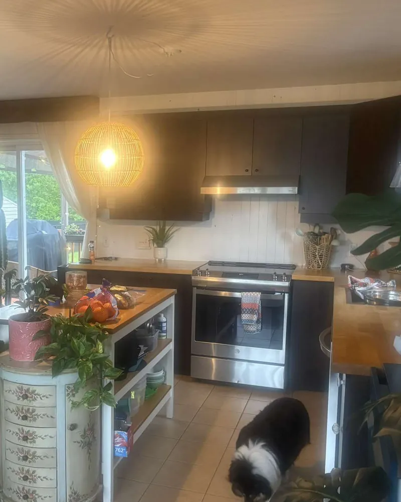 Cuisine avant : armoires vert foncé, comptoir de bois